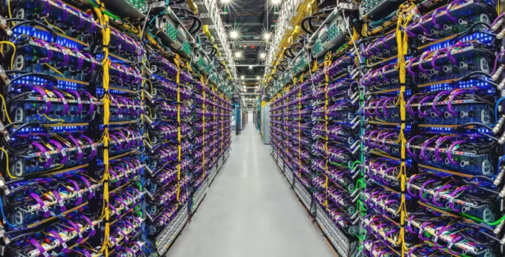 Organized Server Rack Cable Management with Blue Cabling