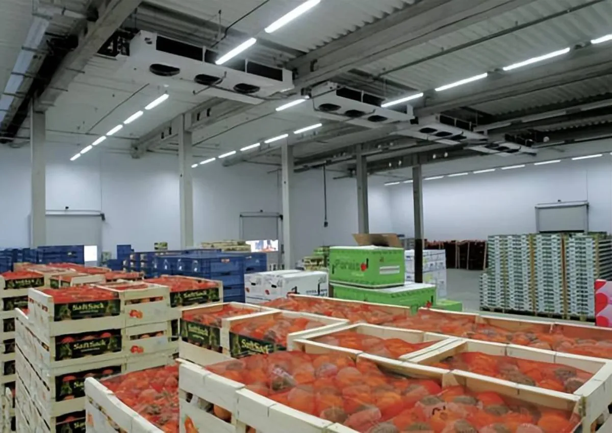 VESDA aspirating smoke detection system installed in a cold storage warehouse ceiling